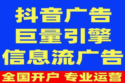 百度广告投放策略与效果评估案例
